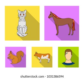 Horse, cow, cat, squirrel and other kinds of animals.Animals set collection icons in flat style vector symbol stock illustration web.