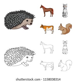 Horse, cow, cat, squirrel and other kinds of animals.Animals set collection icons in cartoon,outline style vector symbol stock illustration web.