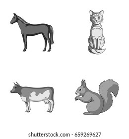 Horse, cow, cat, squirrel and other kinds of animals.Animals set collection icons in monochrome style vector symbol stock illustration web.