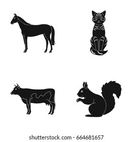 Horse, cow, cat, squirrel and other kinds of animals.Animals set collection icons in black style vector symbol stock illustration web.