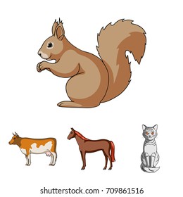 Horse, cow, cat, squirrel and other kinds of animals.Animals set collection icons in cartoon style vector symbol stock illustration web.