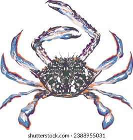 Horse crab blue crab seafood fresh from ocean