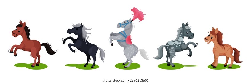 Horse with Crest and Tail on Green Field Vector Set