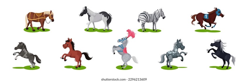 Horse with Crest and Tail on Green Field Vector Set