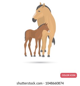 Horse and cub color flat icon