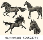 Horse. Design set. Hand drawn engraving. Vector vintage illustration. Isolated on color background. 8 EPS