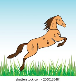 Horse design vector illustration, Creative horse logo template, icon symbol
