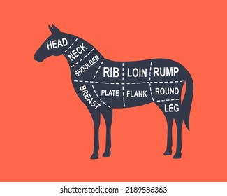 Horse diagram cuts. Butcher scheme poster. Cuts of horse meat. Meat diagram scheme illustration. Farm animal silhouette.