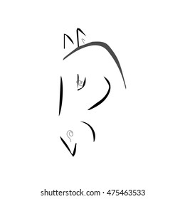 Horse drawing of lines on a white background vector