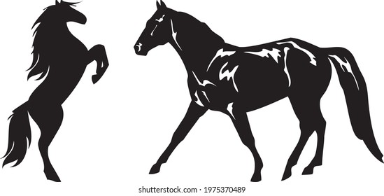 horse drawing vector design illustration