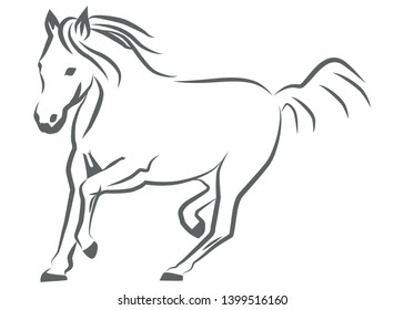 Horse drawn by lines. Galloping horse Horse galloping with a developing mane and tail.