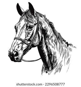 A horse drawn in simple pen and ink. vector illustration, white background, label, sticker, t-shirt design