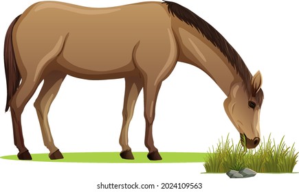 A horse eating grass in cartoon style isolated illustration