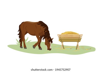 The horse eats hay from the trough on the farm. Country pet. Isolated character on a white background. Vector illustration in a flat style.