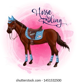 Horse in equestrian equipment vector illustration