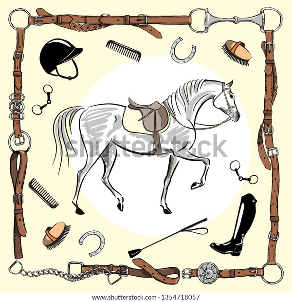 horse riding supplies