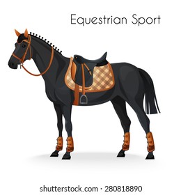 Horse with equestrian sport equipment. vector illustration