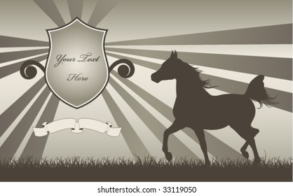 horse etiquette