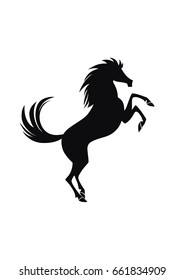 Horse F