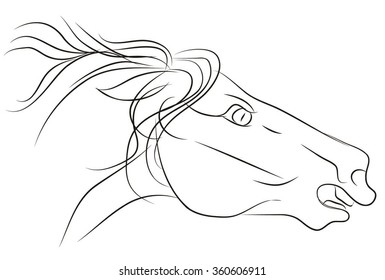 Horse face