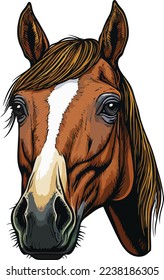 Horse Face Close Up Portrait illustration 03
