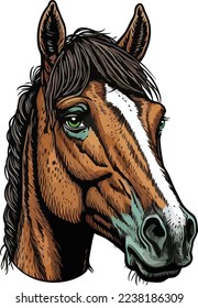 Horse Face Close Up Portrait illustration 05
