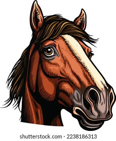 Horse Face Close Up Portrait illustration 06