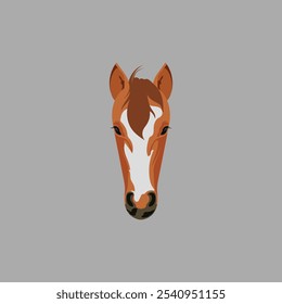 Horse Face Front vector Photos and Images on white background.