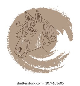 Horse face . Hand drawing illustration.