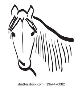 horse face profile