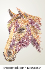 Horse Face Scribbled Illustration 