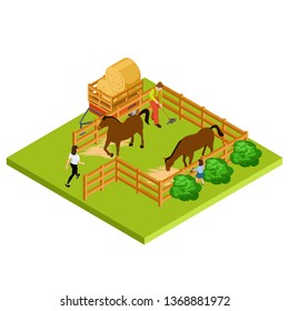 Horse farm 3d isometric vector location isolated