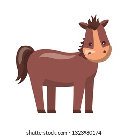 horse farm animal