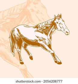 Horse farm animals with stomping hoof. Stylish symbol, artwork, tattoo. Wildlife animal concept isolated on white background. Vector illustration in hand drawn retro style.