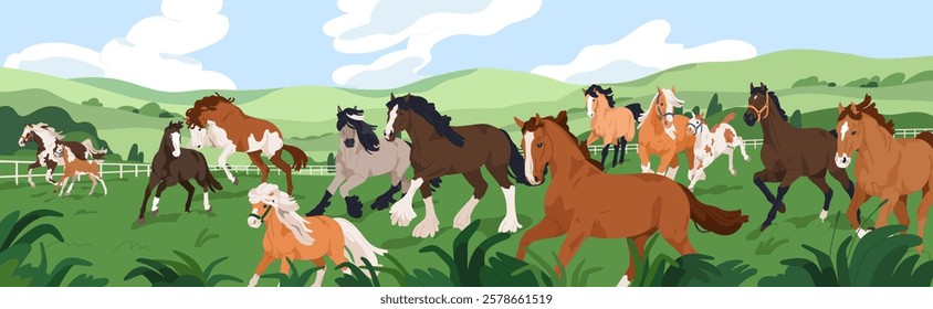 Horse farm. Equine herd running, walking, frolicking in countryside landscape, rural pasture panorama. Thoroughbred ranch stallions outdoor in country nature, grass field. Flat vector illustration