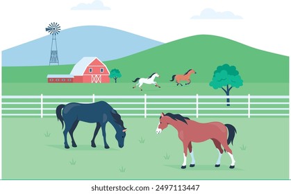 Horse Farm, Horses eating grass and running