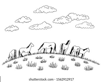 Horse feeding grass on the hill graphic black white sketch illustration vector