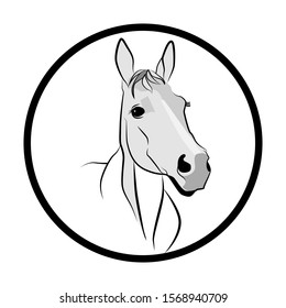 Horse figure in dark lines. Horse head on a white background. Muzzle of a white horse in half a turn.