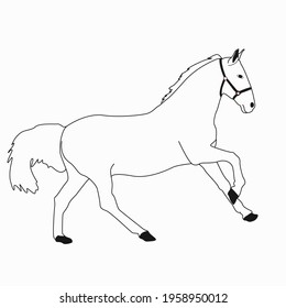 horse flat art illustration vector