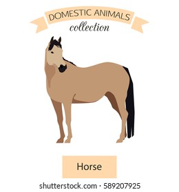 Horse flat icon isolated on white background. Domestic animals collection