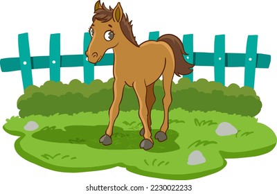 horse and foal cartoon vector