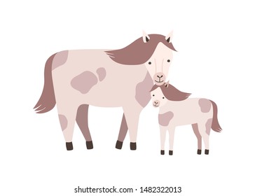 Horse and foal or colt isolated on white background. Family of wild or domestic herbivorous animals. Parent with youngling, mother and baby or offspring. Flat cartoon colorful vector illustration.