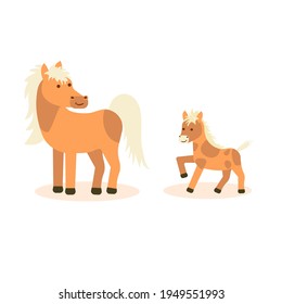 A horse with a foal on a white isolated background. Vector flat illustration