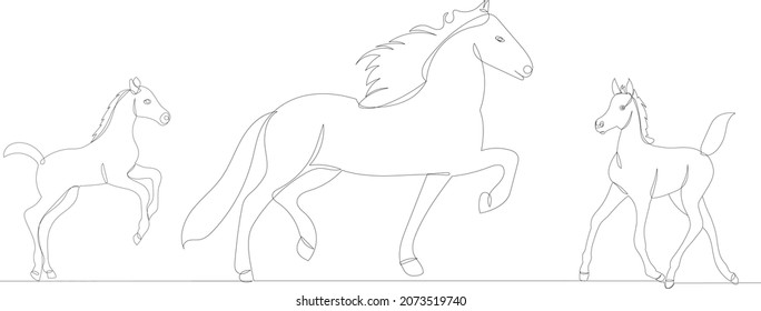 Horse Foal One Continuous Line Drawing Stock Vector (Royalty Free ...