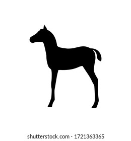 Horse foal silhouette isolated on white background.