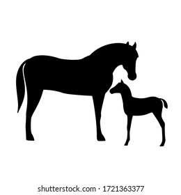 Horse with foal silhouette isolated on white background. Farm animal.