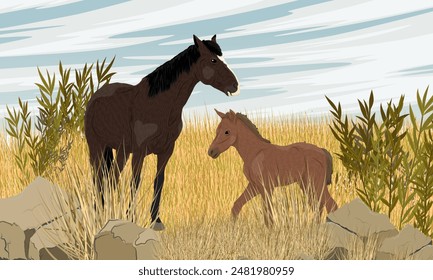 A horse and a foal stand in tall dry grass in the steppe. Realistic vector landscape