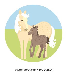 Horse and foal. Vector illustration