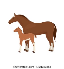 Horse With Foal Vector Illustration Isolated On White Background. Farm Animal.