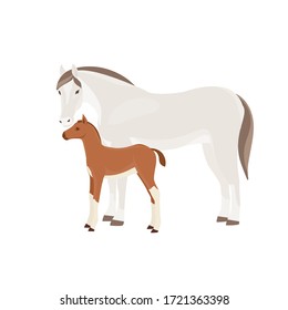 Horse With Foal Vector Illustration Isolated On White Background. Farm Animal.